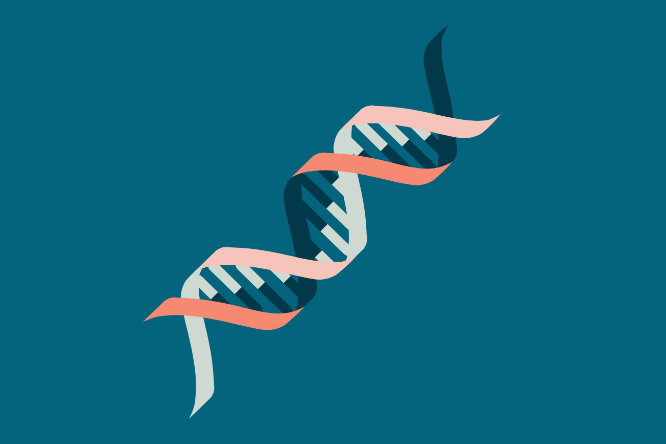 Autoimmune Disease Predispositions and Pregnancy