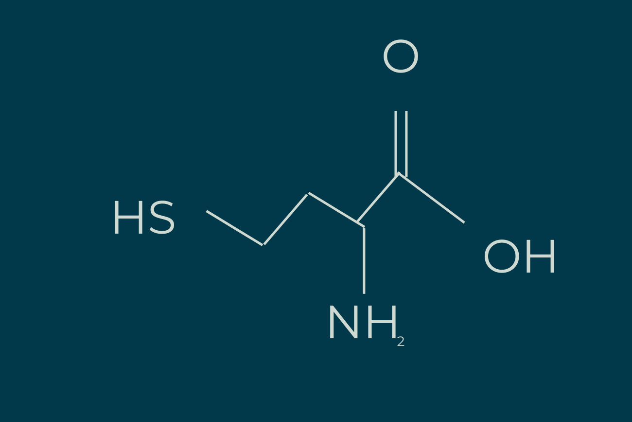 Homocysteine and Pregnancy: Research Review