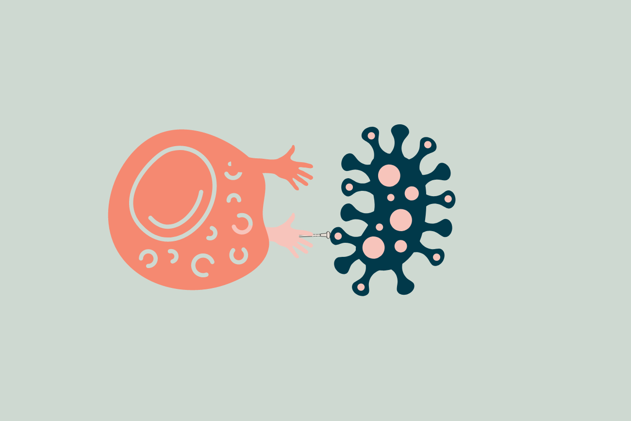 Natural Killer Cells and Pregnancy: Research Review